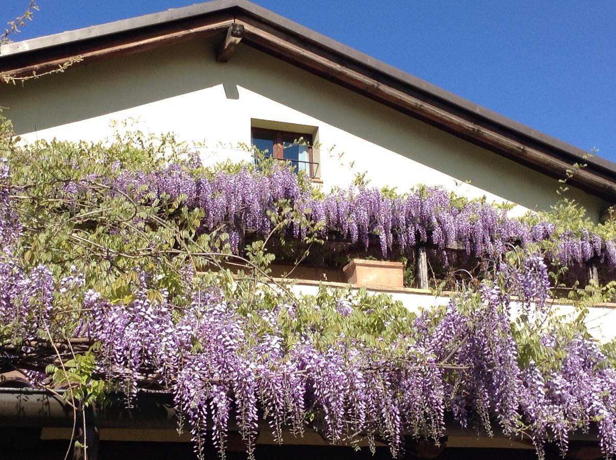 Casa Tentoni - Guest House Misano Adriatico Exterior photo